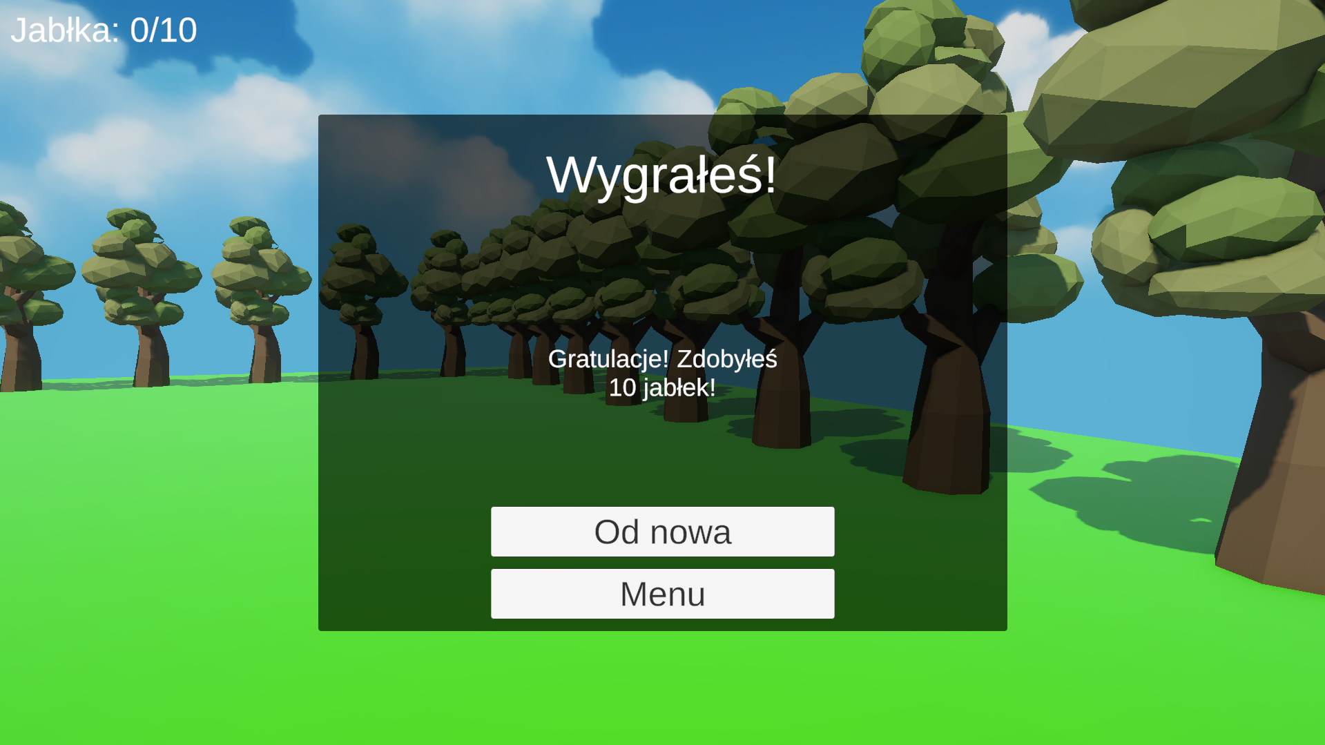 Zdjęcie z gry 3